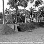 Air raid shelter showing Aliiolani Hale in background.